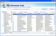 Open MS SQL Database screenshot